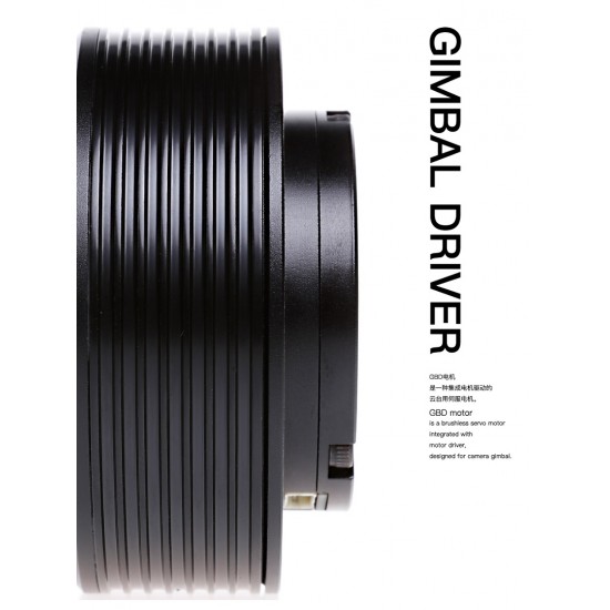 Dualsky GBD Series XM4005GBD Gimbal motor 