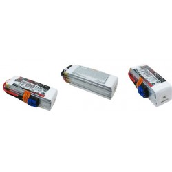 Dualsky XP17504GT-S Lipo Battery x2