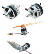 Dualsky XM2223EA-13 Motor x2