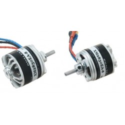 Dualsky XM2830EA-8 Motor x2