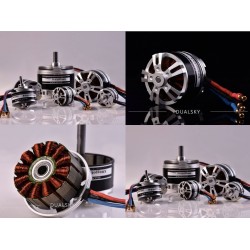 Dualsky XM4250EA-6 Motor x2