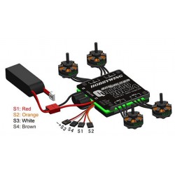 HOBBYWING Skywalker Quattro 20A x 4 4-in-1 Speed Control